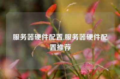 服务器硬件配置,服务器硬件配置推荐