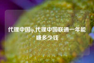 代理中国ip,代理中国联通一年能赚多少钱