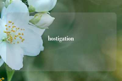 hostigation