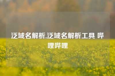 泛域名解析,泛域名解析工具 哔哩哔哩