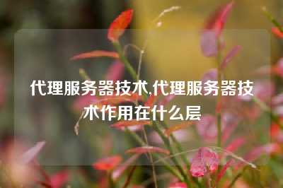 代理服务器技术,代理服务器技术作用在什么层