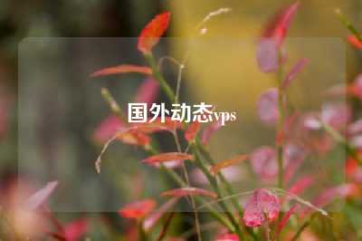 国外动态vps