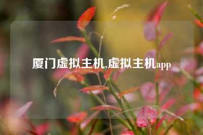 厦门虚拟主机,虚拟主机app