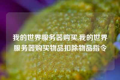 我的世界服务器购买,我的世界服务器购买物品扣除物品指令