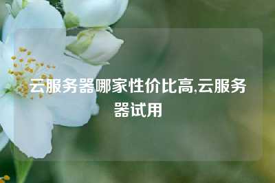 云服务器哪家性价比高,云服务器试用