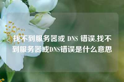 找不到服务器或 DNS 错误,找不到服务器或DNS错误是什么意思