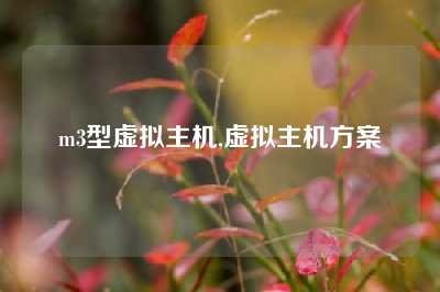 m3型虚拟主机,虚拟主机方案
