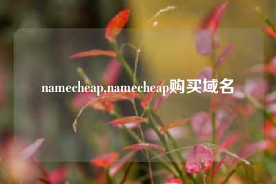 namecheap,namecheap购买域名