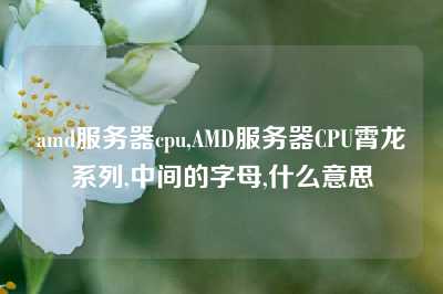 amd服务器cpu,AMD服务器CPU霄龙系列,中间的字母,什么意思