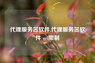 代理服务器软件,代理服务器软件 url限制