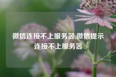 微信连接不上服务器,微信提示连接不上服务器