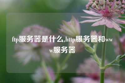 ftp服务器是什么,http服务器和www服务器