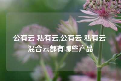 公有云 私有云,公有云 私有云 混合云都有哪些产品