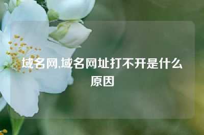 域名网,域名网址打不开是什么原因