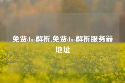 免费dns解析,免费dns解析服务器地址
