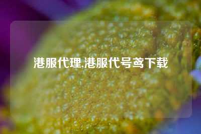 港服代理,港服代号鸢下载