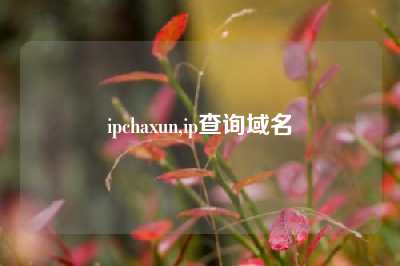 ipchaxun,ip查询域名