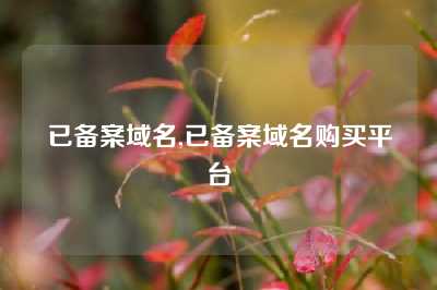 已备案域名,已备案域名购买平台