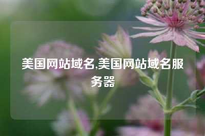 美国网站域名,美国网站域名服务器
