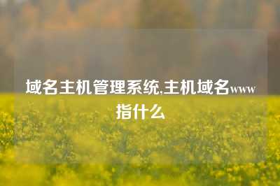 域名主机管理系统,主机域名www指什么