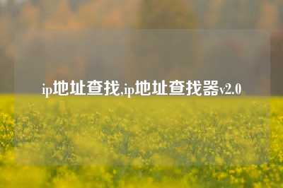 ip地址查找,ip地址查找器v2.0