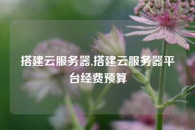 搭建云服务器,搭建云服务器平台经费预算
