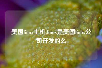 美国linux主机,linux是美国linux公司开发的么