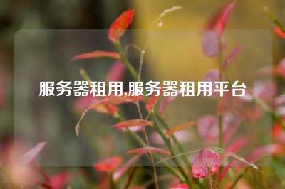 服务器租用,服务器租用平台