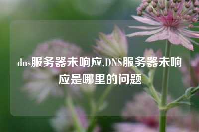 dns服务器未响应,DNS服务器未响应是哪里的问题