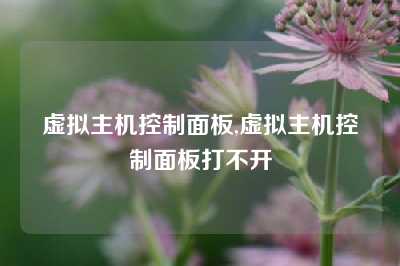虚拟主机控制面板,虚拟主机控制面板打不开