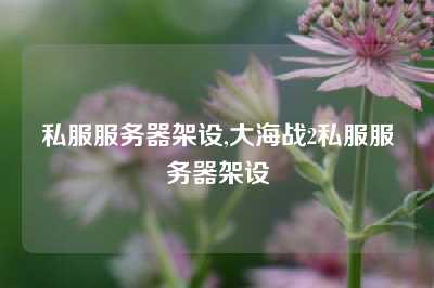 私服服务器架设,大海战2私服服务器架设