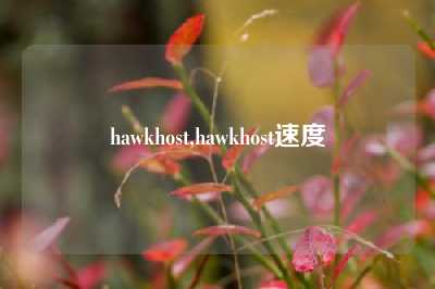 hawkhost,hawkhost速度