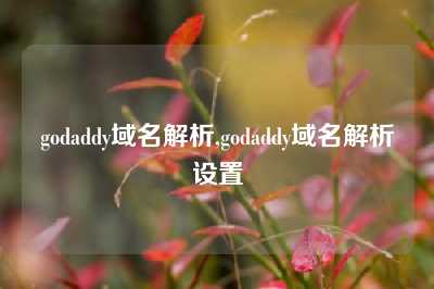 godaddy域名解析,godaddy域名解析设置