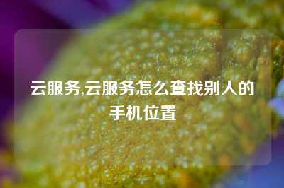 云服务,云服务怎么查找别人的手机位置