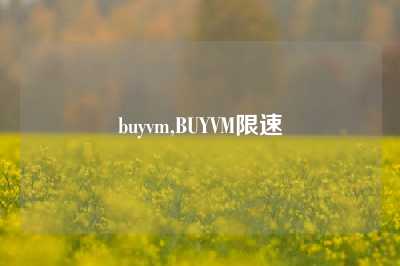 buyvm,BUYVM限速
