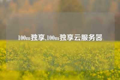 100m独享,100m独享云服务器
