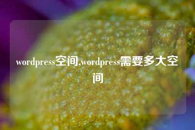 wordpress空间,wordpress需要多大空间