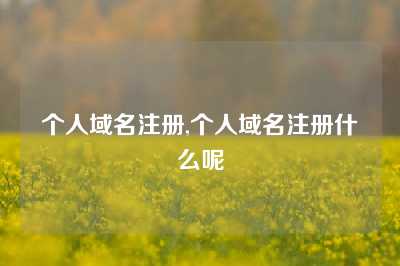 个人域名注册,个人域名注册什么呢