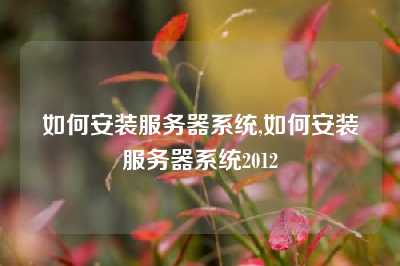 如何安装服务器系统,如何安装服务器系统2012