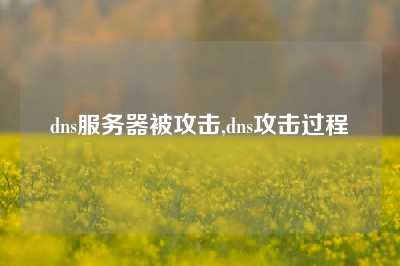dns服务器被攻击,dns攻击过程