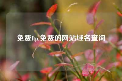 免费ftp,免费的网站域名查询