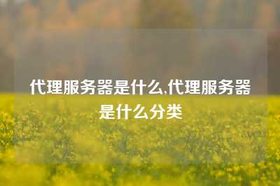 代理服务器是什么,代理服务器是什么分类