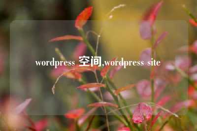 wordpress 空间,wordpress site