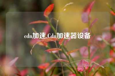 cdn加速,Cdn加速器设备