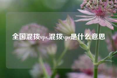 全国混拨vps,混拨vps是什么意思