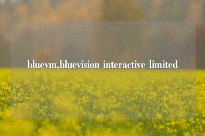 bluevm,bluevision interactive limited