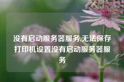 没有启动服务器服务,无法保存打印机设置没有启动服务器服务