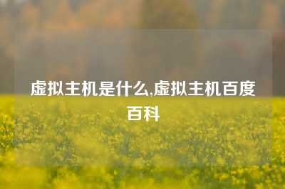 虚拟主机是什么,虚拟主机百度百科