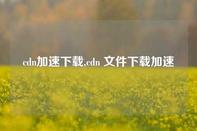 cdn加速下载,cdn 文件下载加速