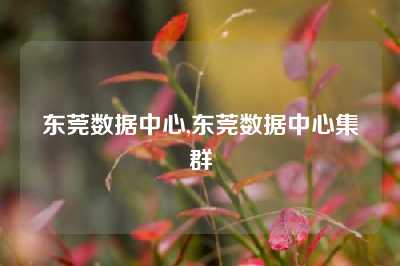 东莞数据中心,东莞数据中心集群